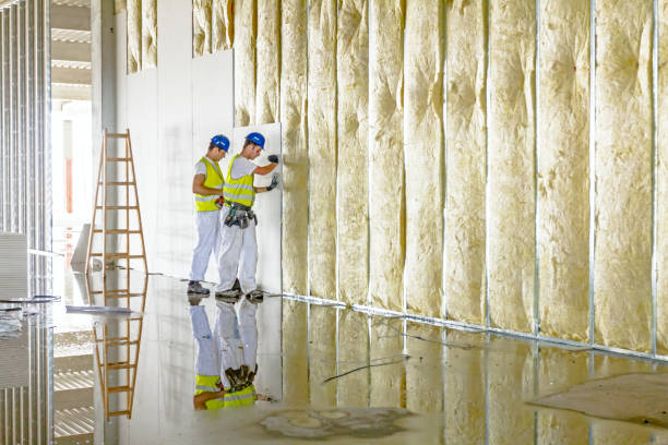 Best Eco-Friendly or Green Insulation Solutions  in Derby, CO